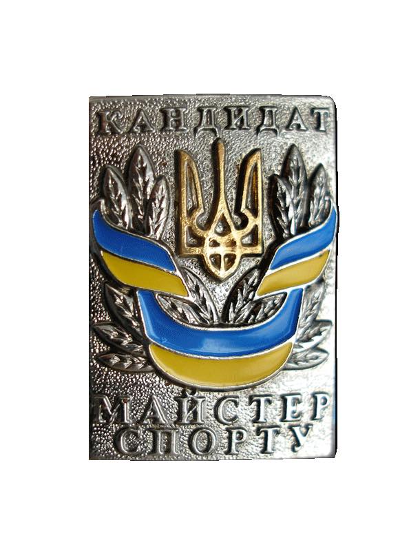 Вітаємо наших чарівних дівчат з отриманням посвідчень кандидата в майстри спорту з боксу.